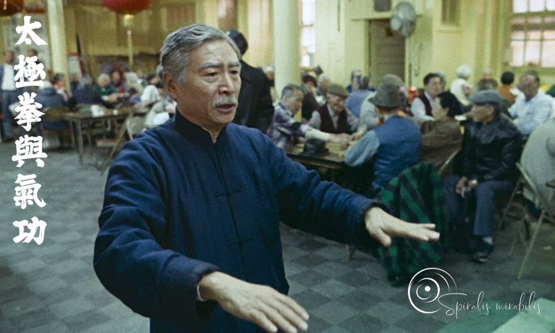 Spiralis Mirabilis - Rivista dedicata alle arti marziali cinesi e alla cultura tradizionale cinese con focus su Tai Chi QiGong e DaoYin